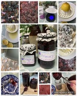 Today we enjoyed pancakes topped with blackberry jam, made from the berries we picked yest